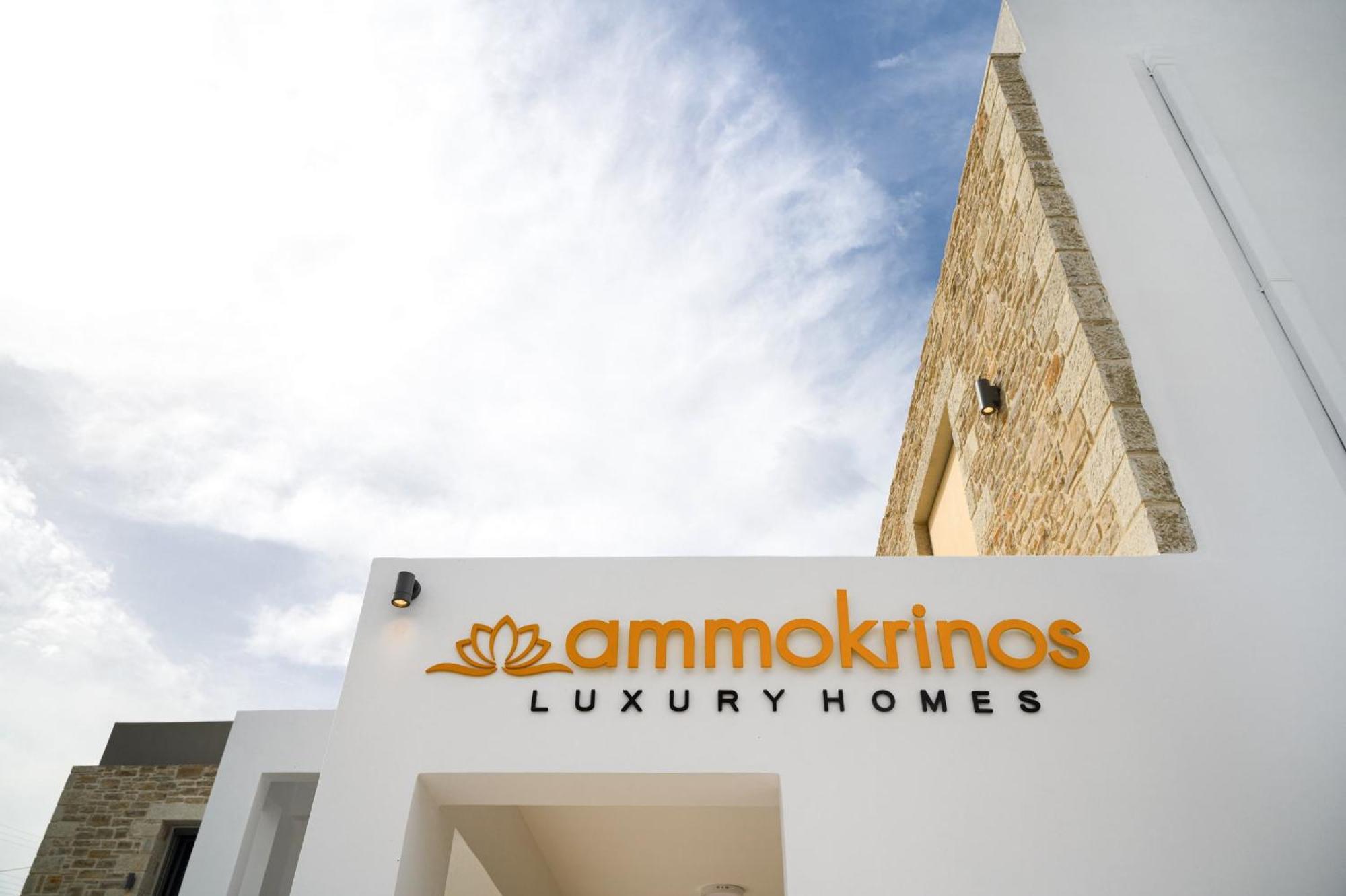 קלמאקי Ammokrinos Luxury Homes,150M From The Beach מראה חיצוני תמונה